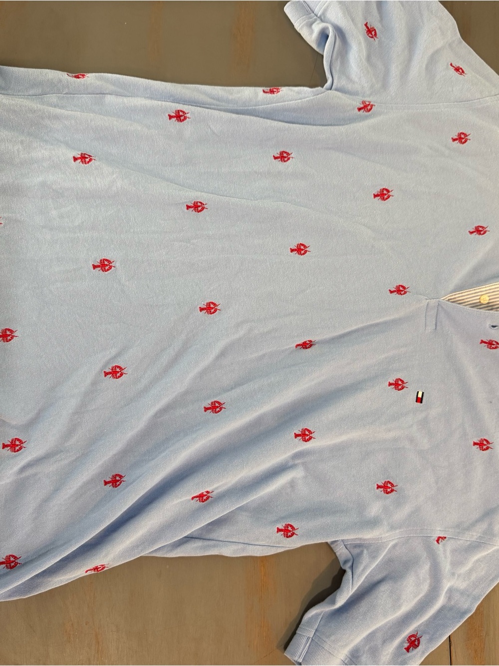 Tommy Hilfiger Light Blue Polo with Red Embroidered Motifs